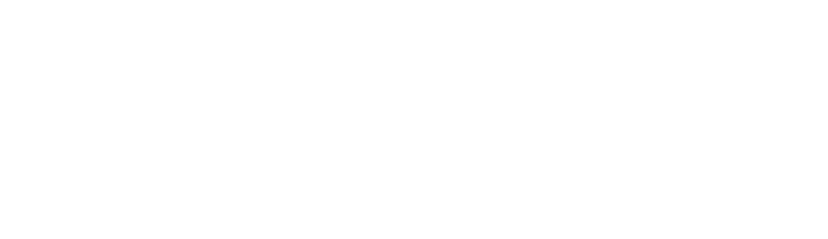 PCG IT logo